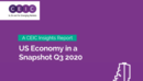 US Economy in a Snapshot Q3 2020 Report