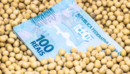 Recently, food inflation has been supporting Brazil's overall price growth, while transportation costs—previously driving inflation up in 2022—have significantly fallen on a yearly basis.